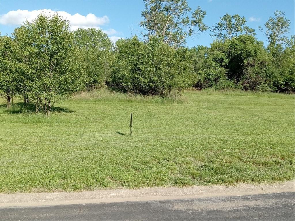 Listing Photo MLS #HMS2467357