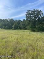 Listing Photo MLS #HMS2471417