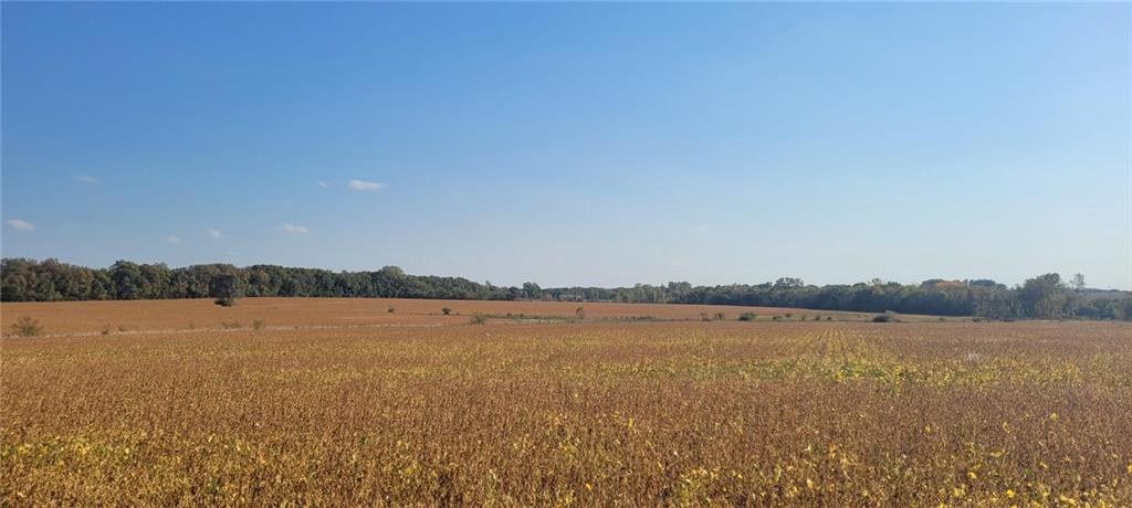 Listing Photo MLS #HMS2499016