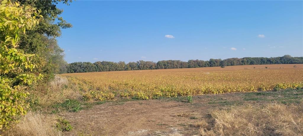 Listing Photo MLS #HMS2499087