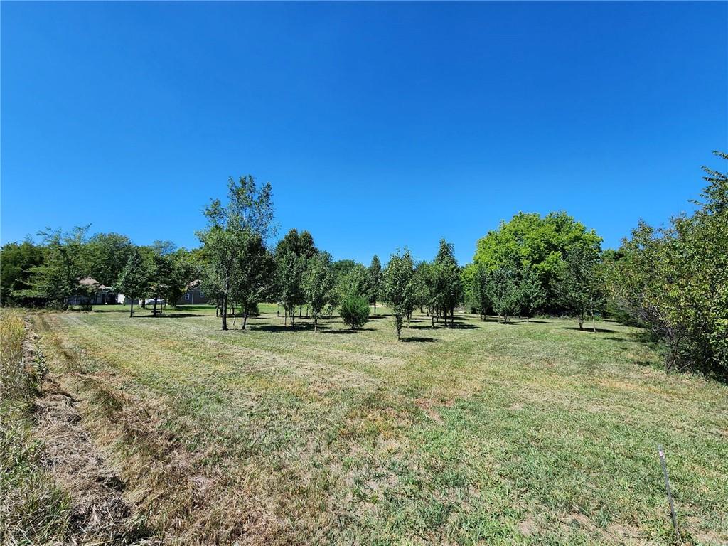 Listing Photo MLS #HMS2508016