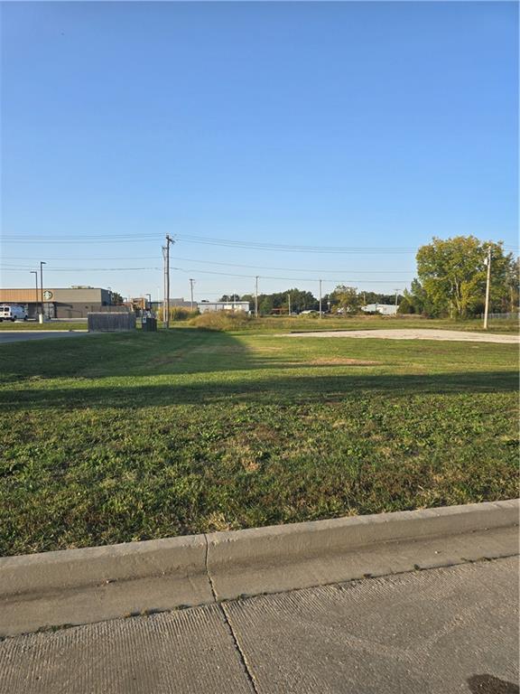 Listing Photo MLS #HMS2513842