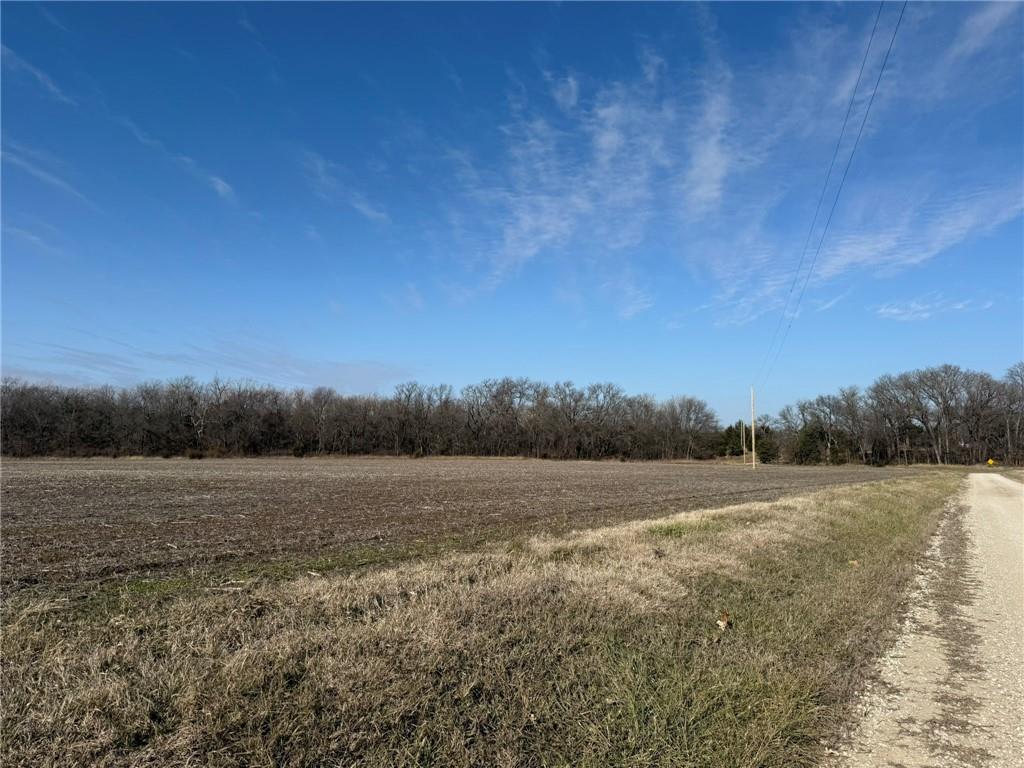 Listing Photo MLS #HMS2524220