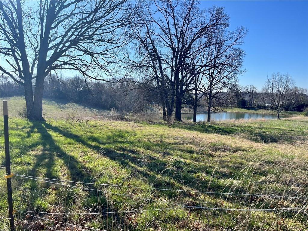 Listing Photo MLS #HMS2530467