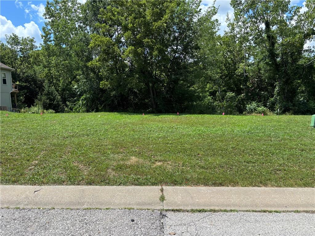 Listing Photo MLS #HMS2530870