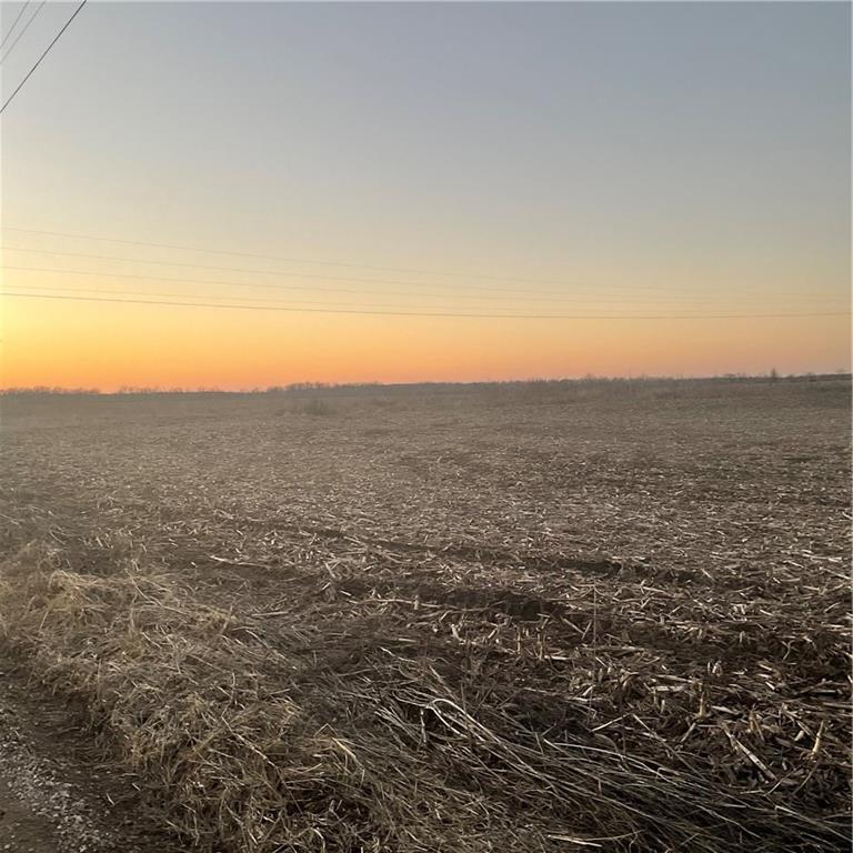 Listing Photo MLS #HMS2530953
