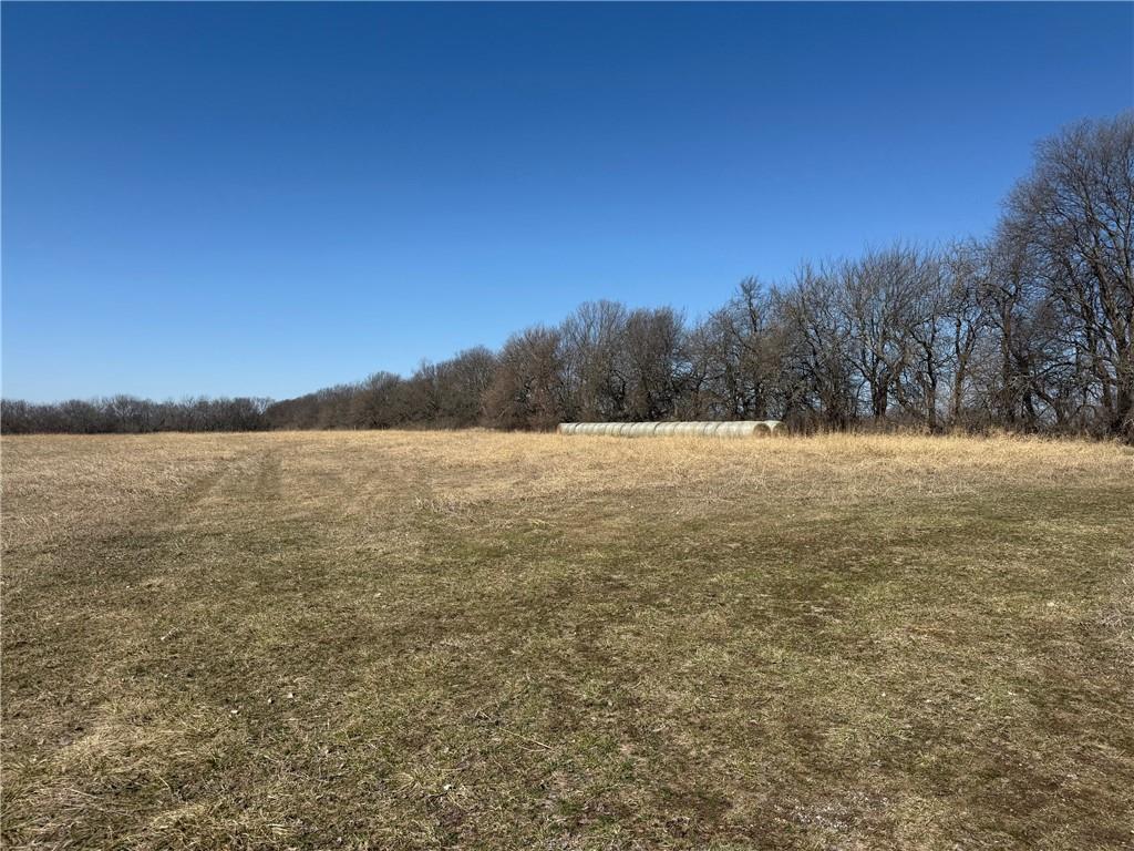 Listing Photo MLS #HMS2534851