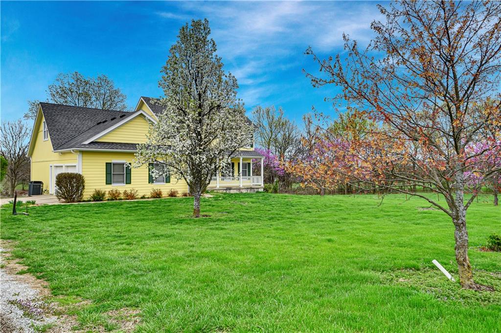 Listing Photo MLS #HMS2541475