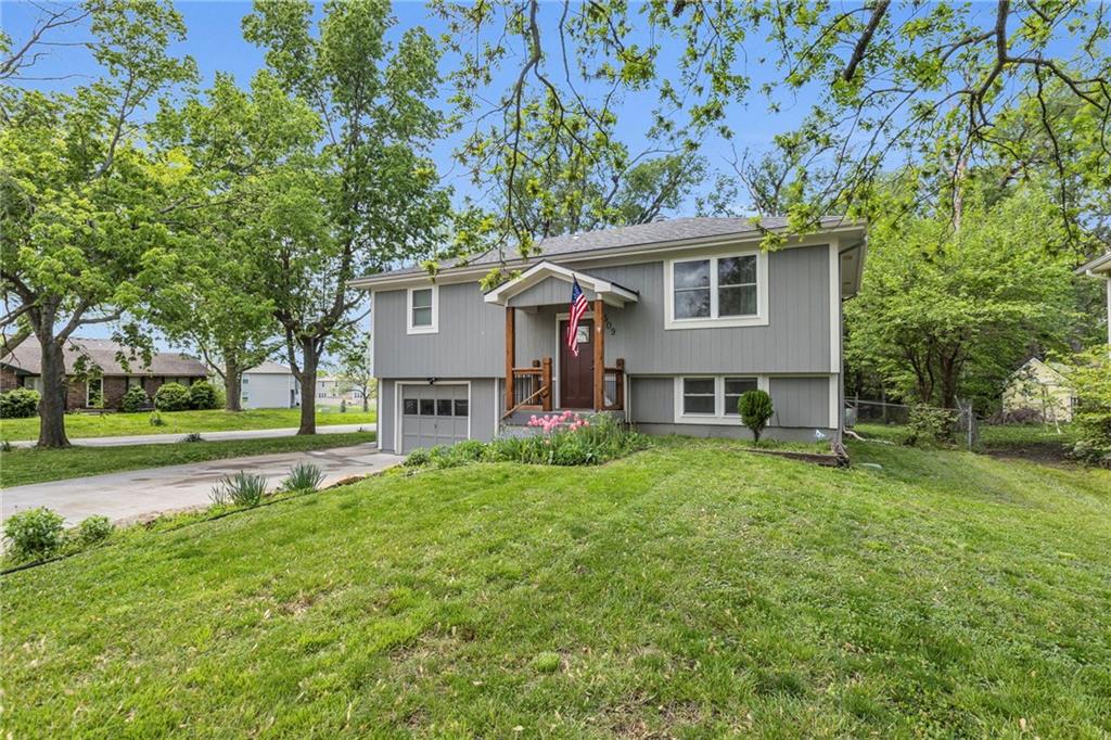 Listing Photo MLS #HMS2544135
