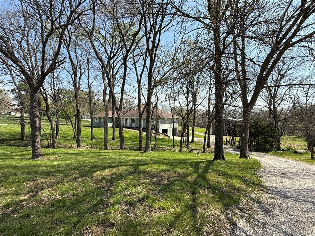 Listing Photo MLS #HMS2544584