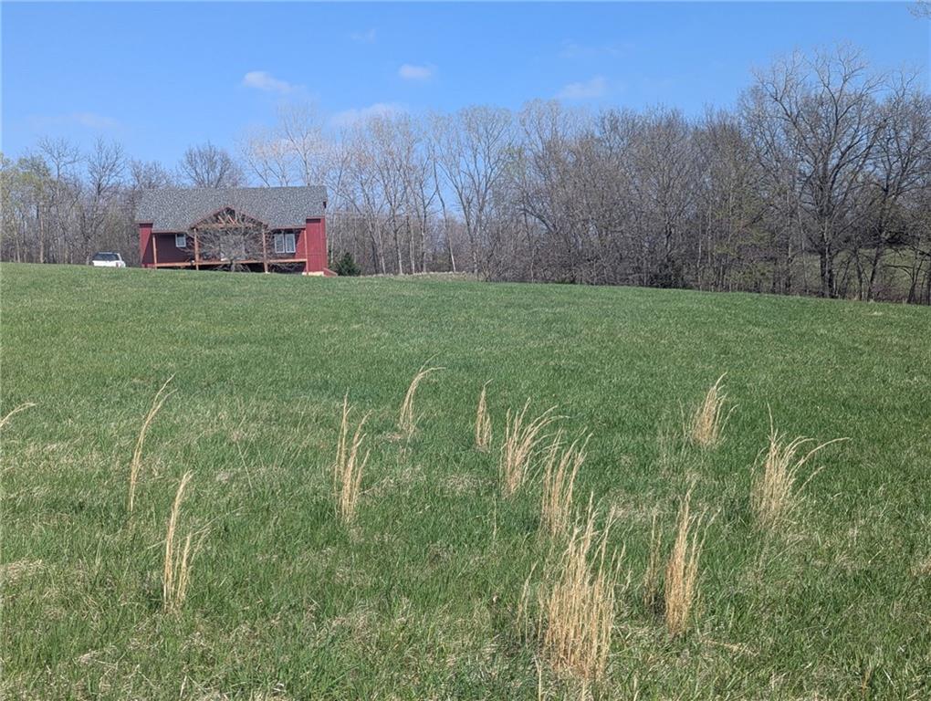 Listing Photo MLS #HMS2544733