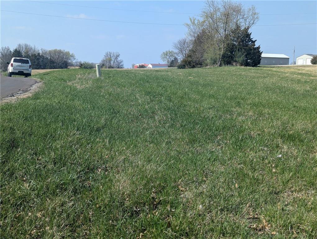 Listing Photo MLS #HMS2544739