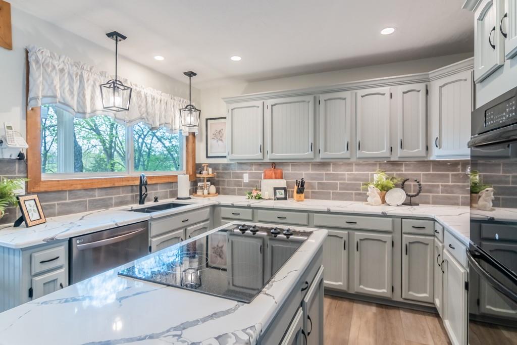Listing Photo MLS #HMS2546956