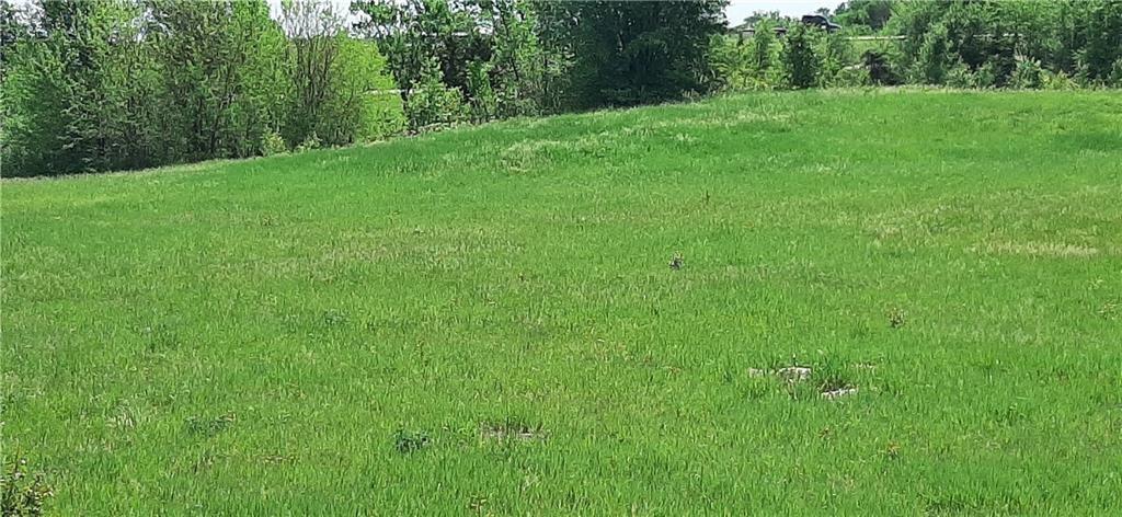 Listing Photo MLS #HMS2547470