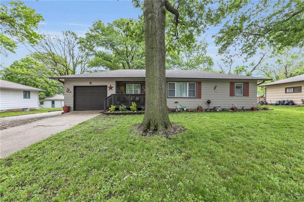 Listing Photo MLS #HMS2550286