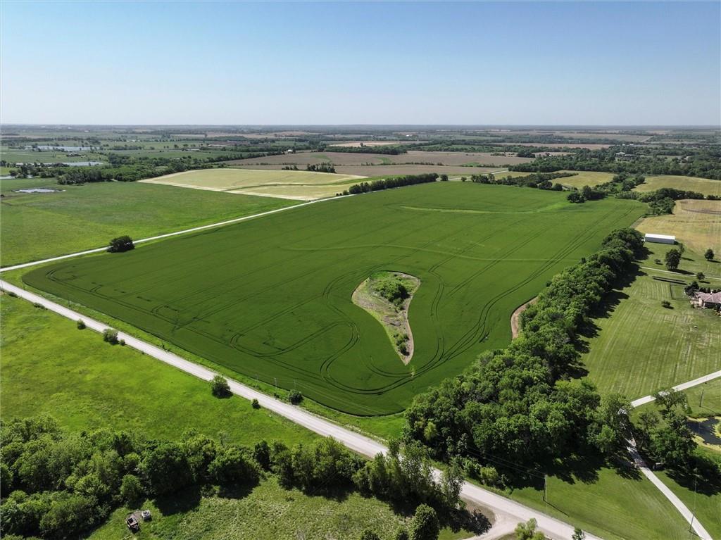 Listing Photo MLS #HMS2550332