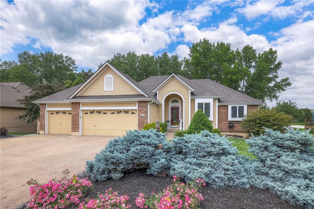 Listing Photo MLS #HMS2550732