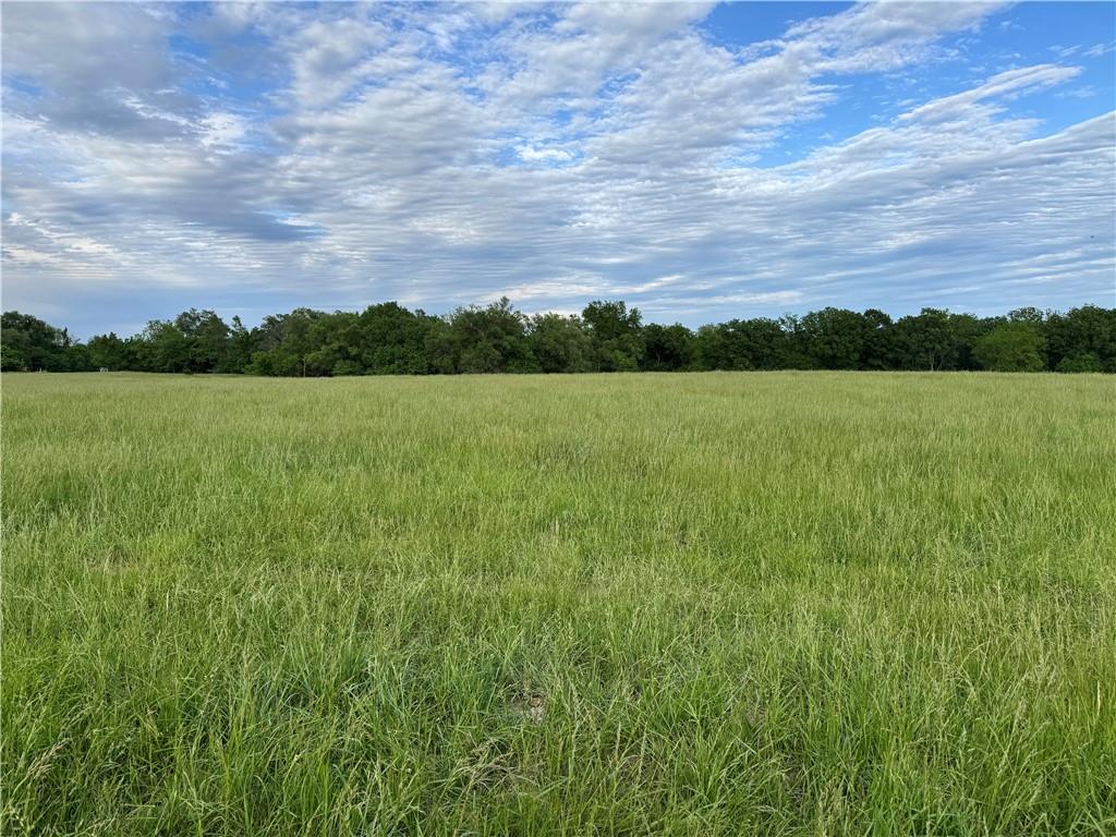 Listing Photo MLS #HMS2551280