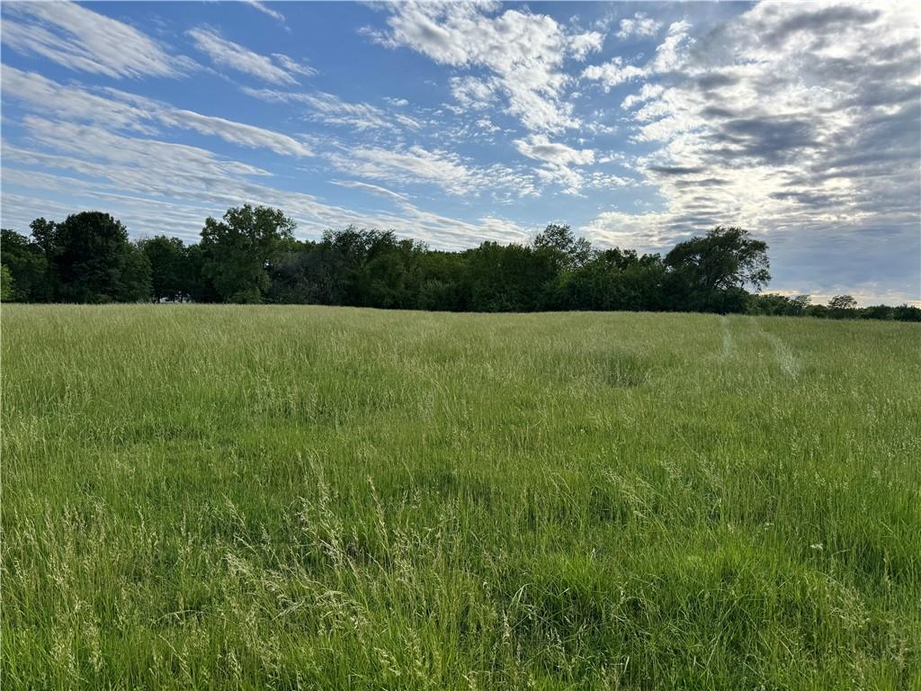 Listing Photo MLS #HMS2551282