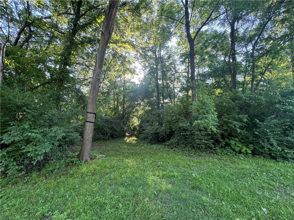 Listing Photo MLS #HMS2551809