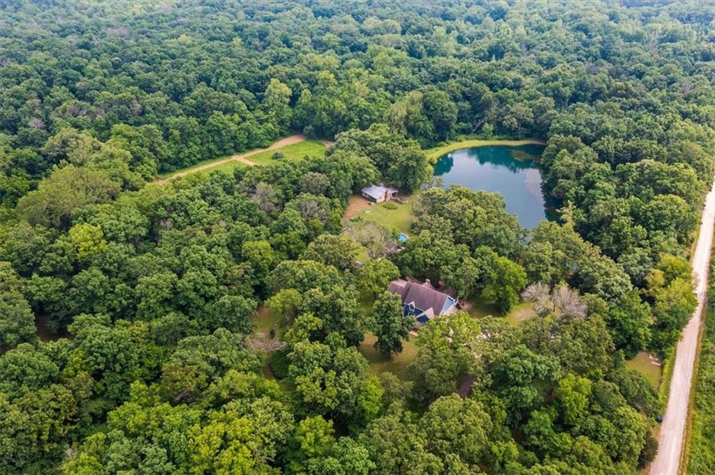 Listing Photo MLS #HMS2553253