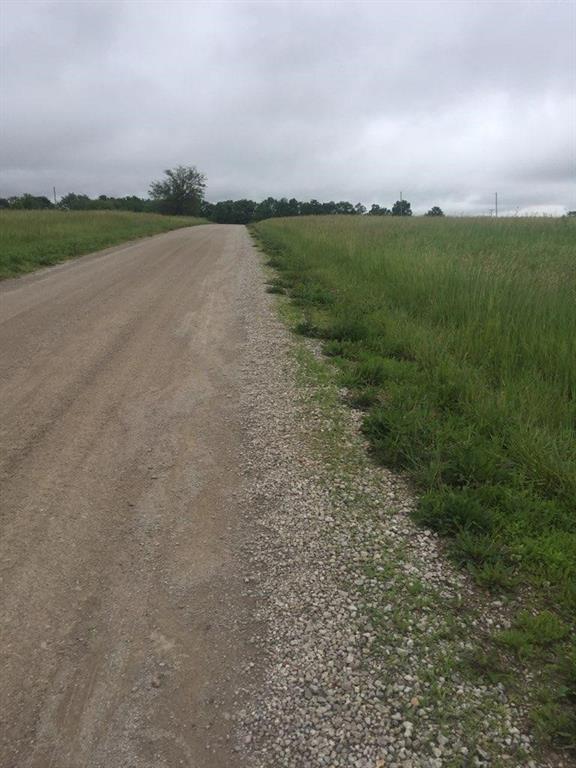 Listing Photo MLS #HMS2555083