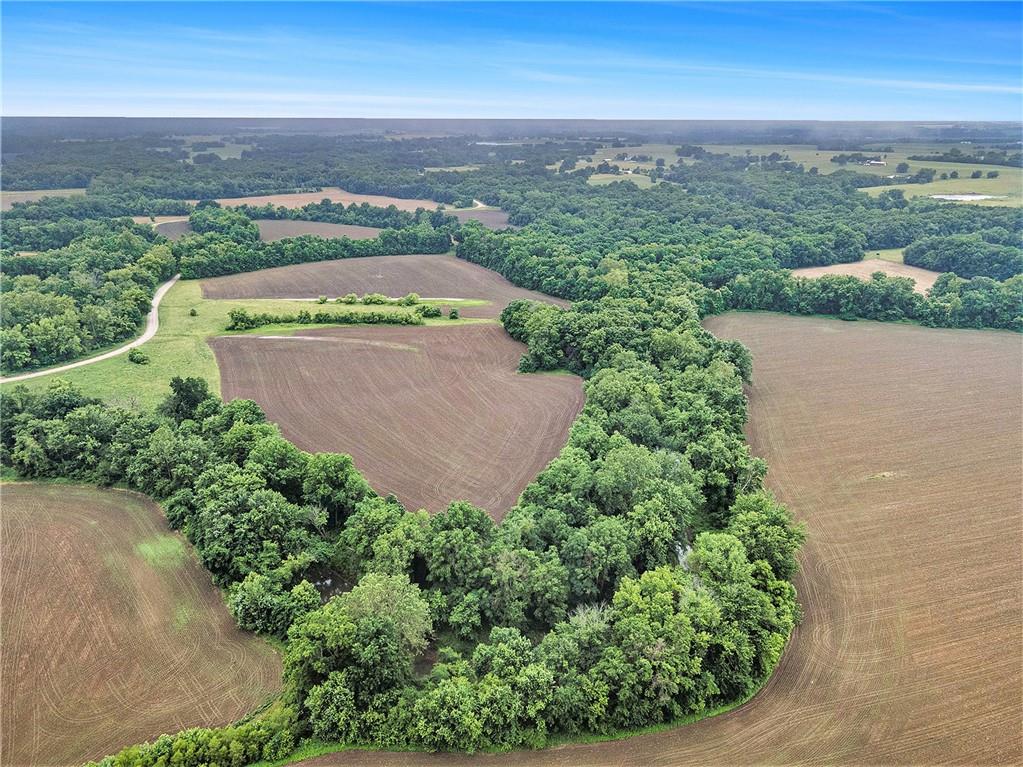 Listing Photo MLS #HMS2555333