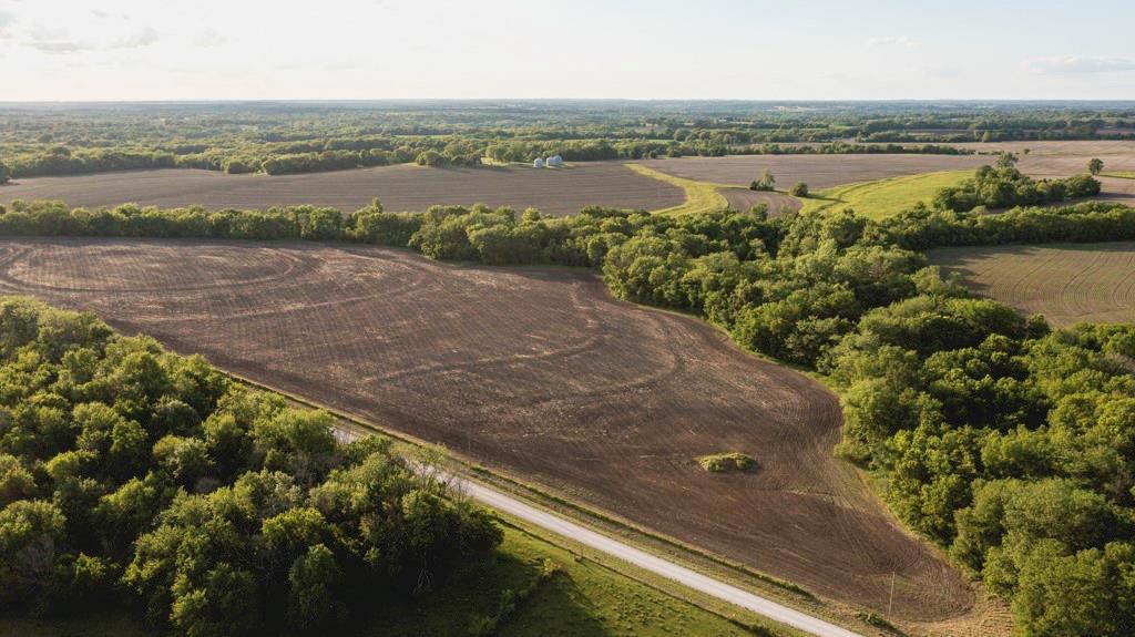 Listing Photo MLS #HMS2555567