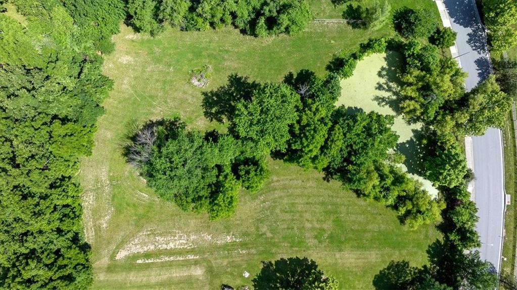 Listing Photo MLS #HMS2555953