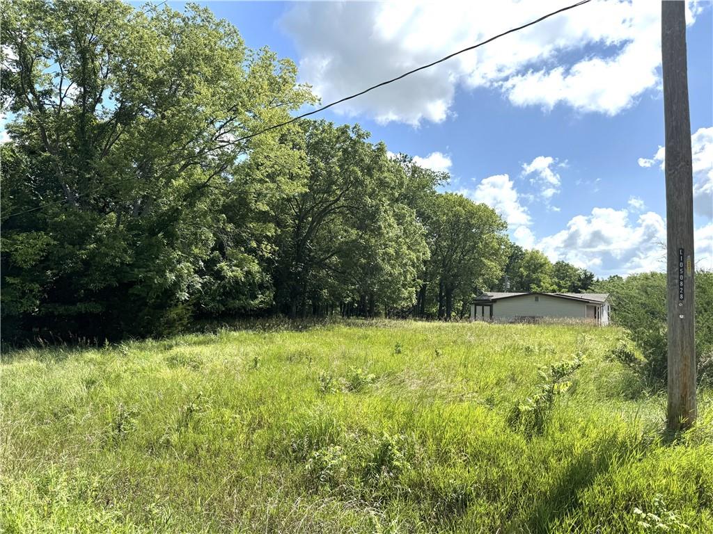 Listing Photo MLS #HMS2563106