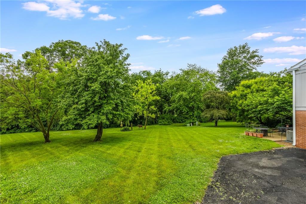 Listing Photo MLS #HMS2563431