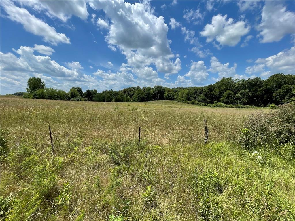 Listing Photo MLS #HMS2563605
