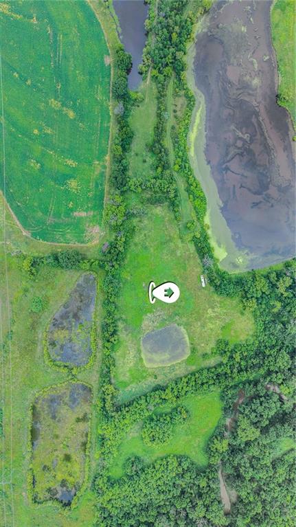 Listing Photo MLS #HMS2563724