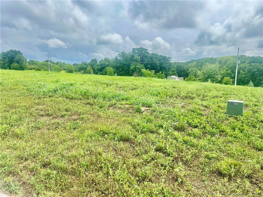 Listing Photo MLS #HMS2563804