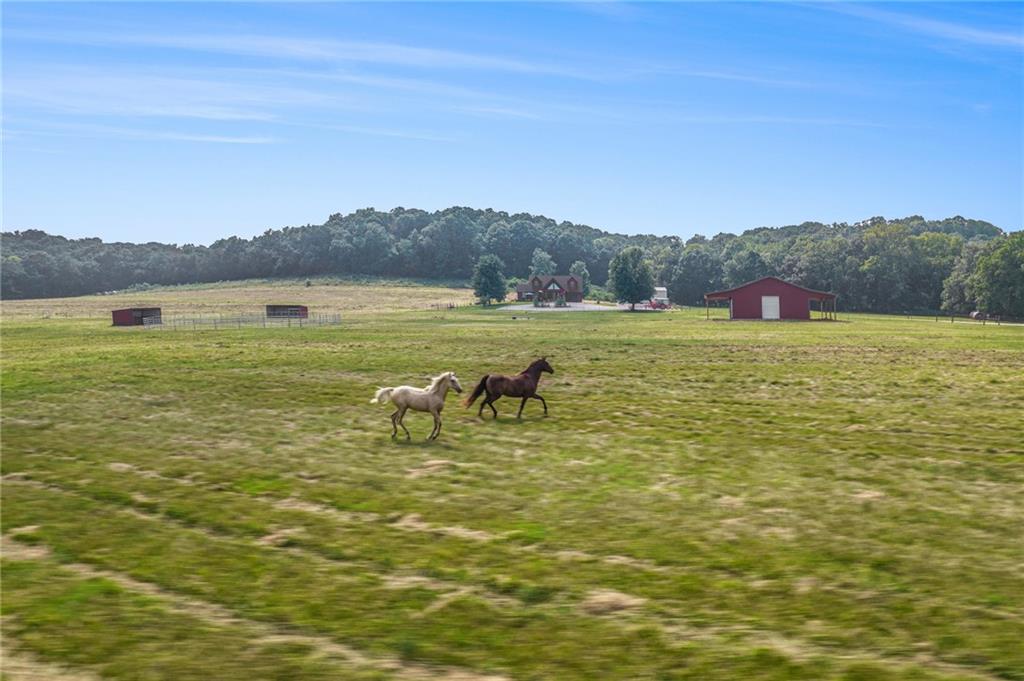 Listing Photo MLS #HMS2566903