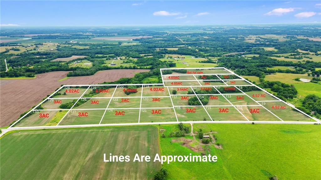 Listing Photo MLS #HMS2567541