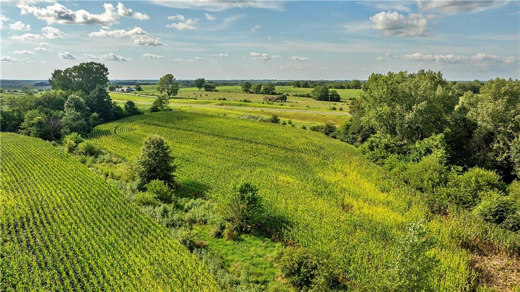 Listing Photo MLS #HMS2568680