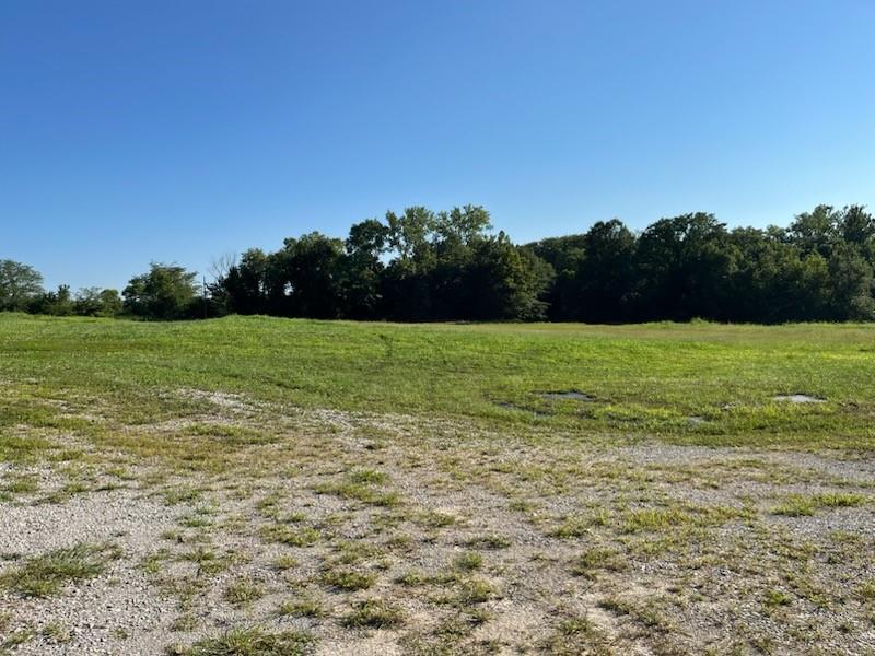 Listing Photo MLS #HMS2568833