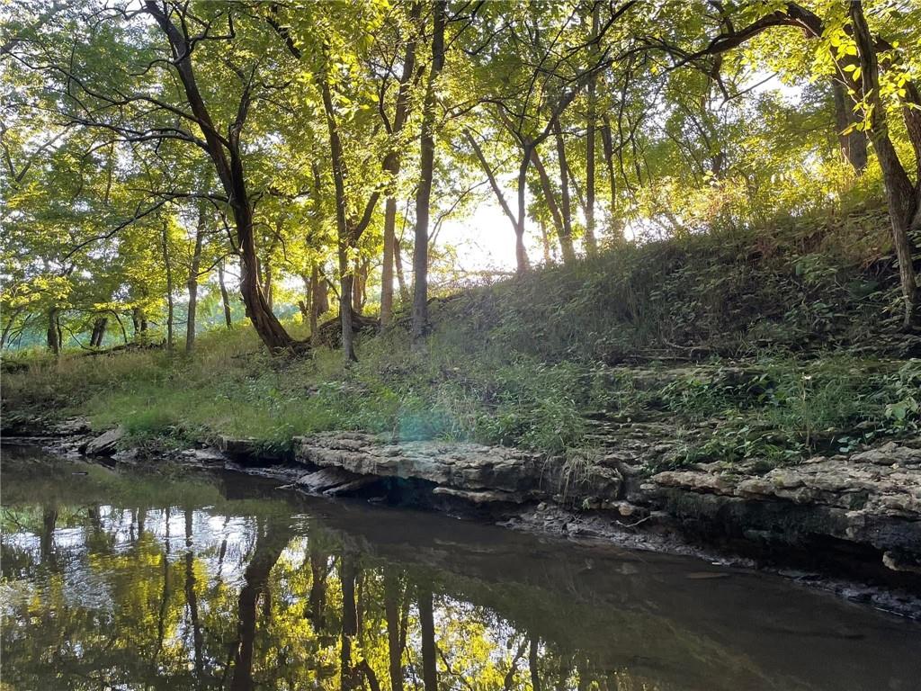 Listing Photo MLS #HMS2569831