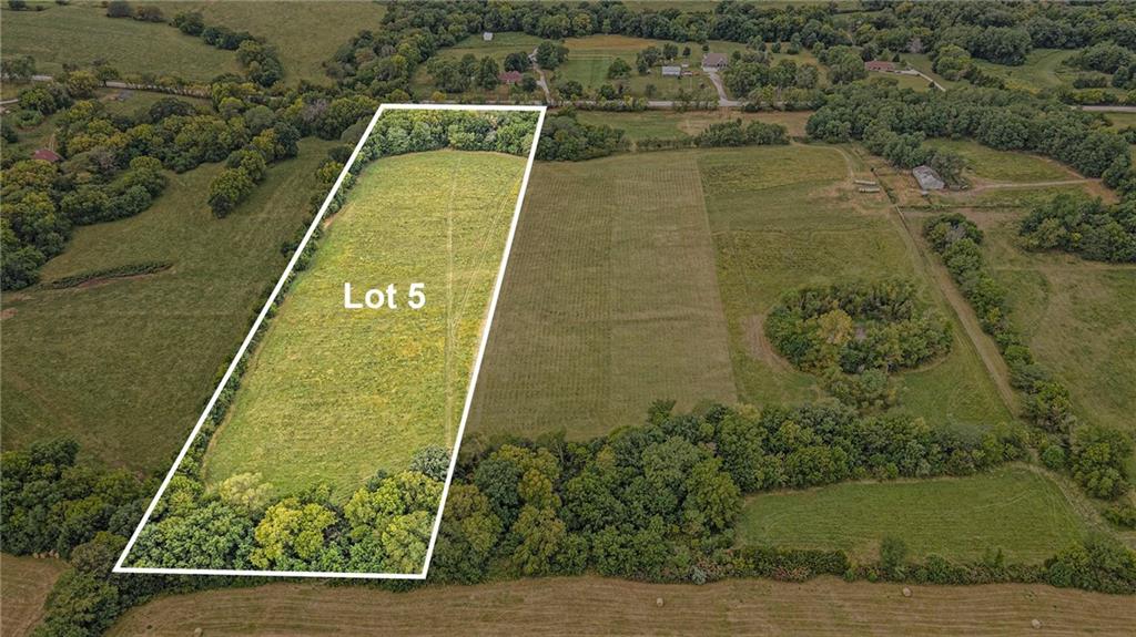 Listing Photo MLS #HMS2572371