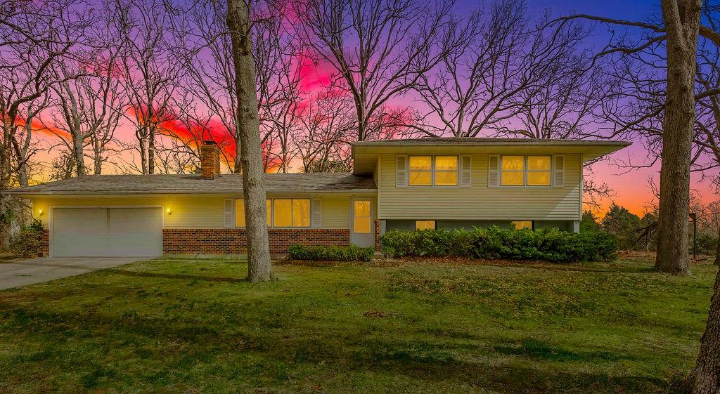 Listing Photo MLS #HMS2572642