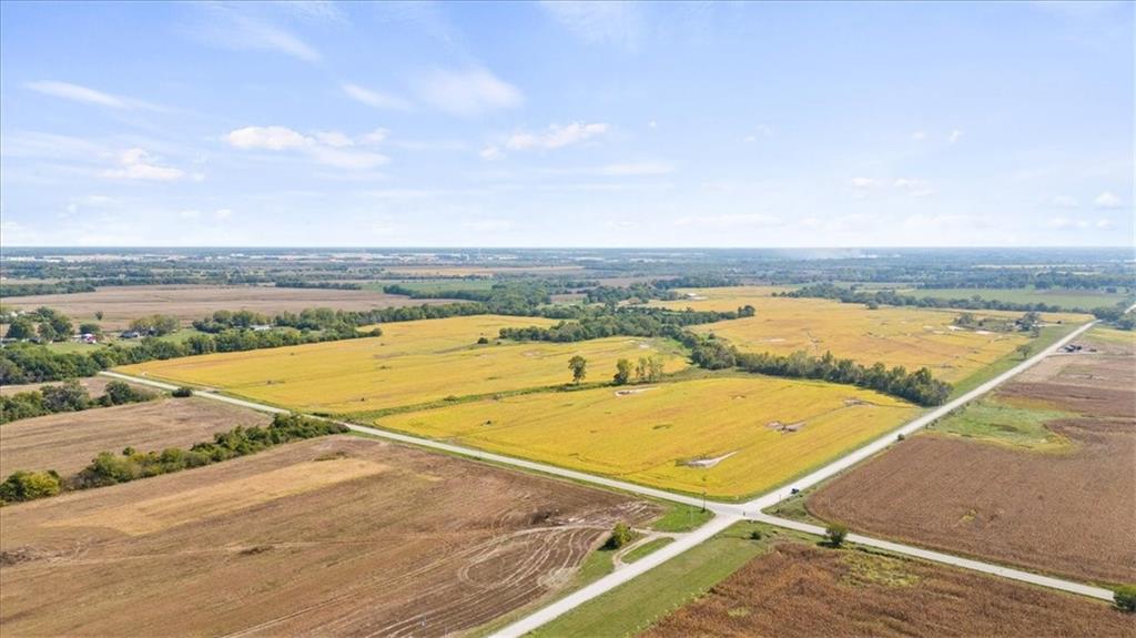 Listing Photo MLS #HMS2574289