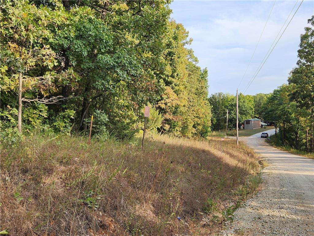 Listing Photo MLS #HMS2574973