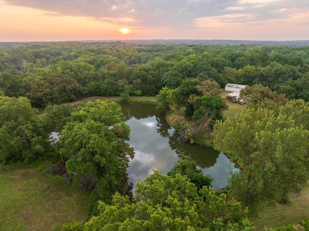 Listing Photo MLS #HMS2575001