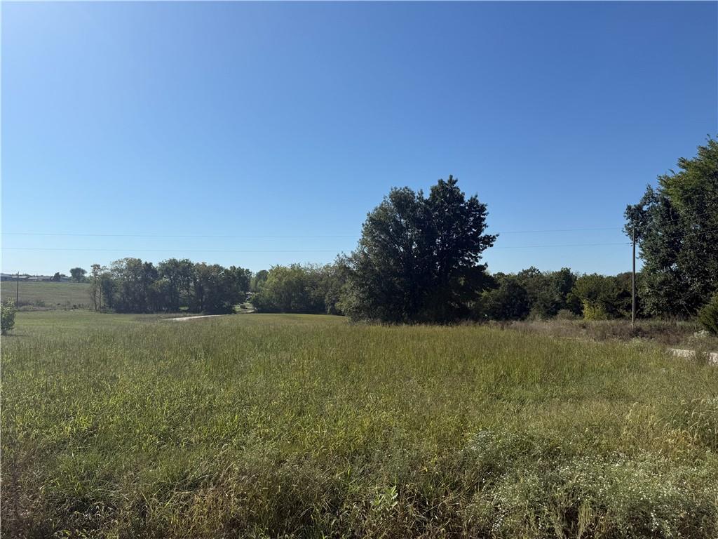 Listing Photo MLS #HMS2576505