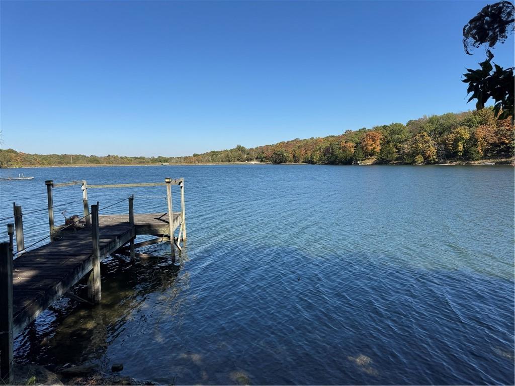 Listing Photo MLS #HMS2579125