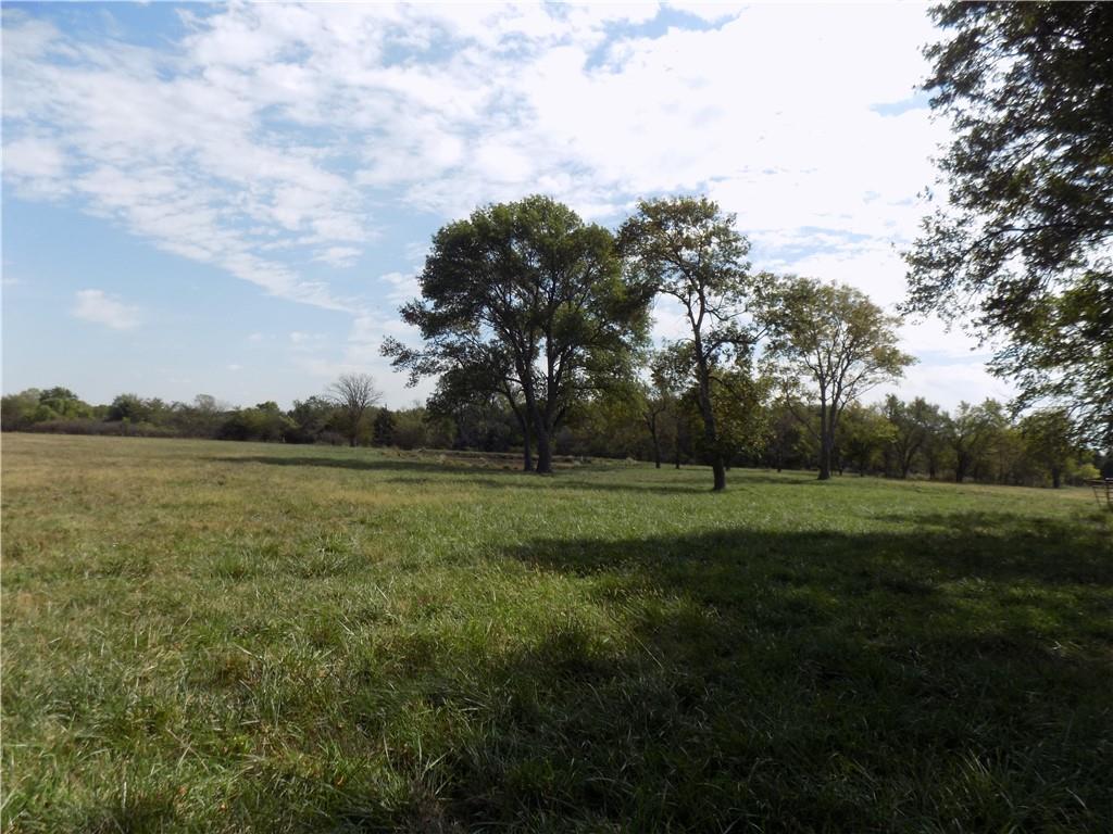 Listing Photo MLS #HMS2579403