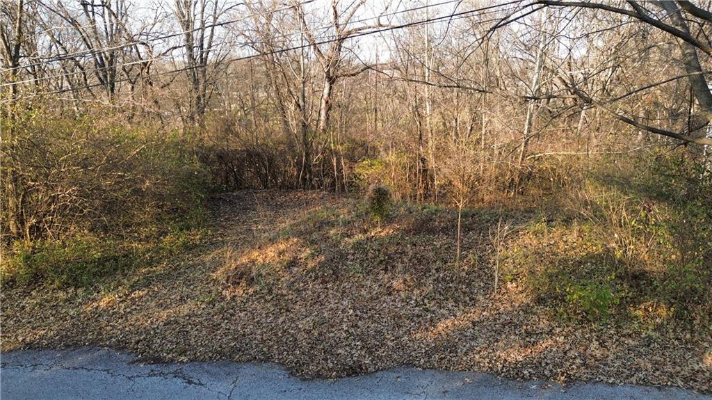 Listing Photo MLS #HMS2579719