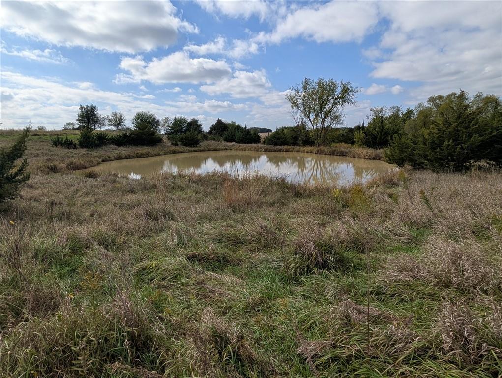 Listing Photo MLS #HMS2581074