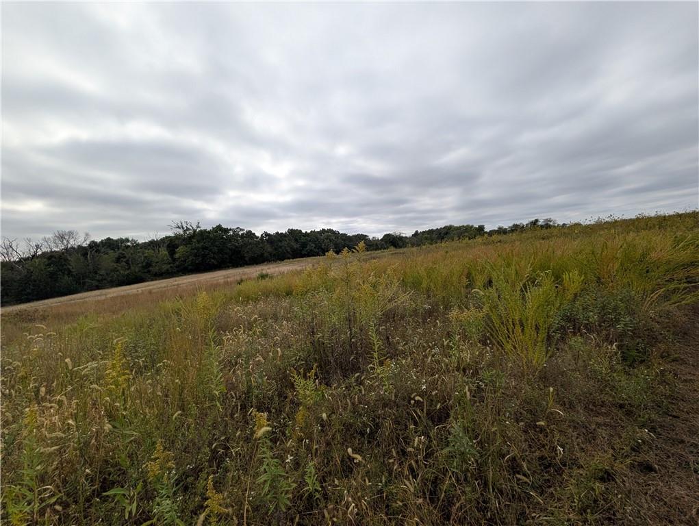 Listing Photo MLS #HMS2581078